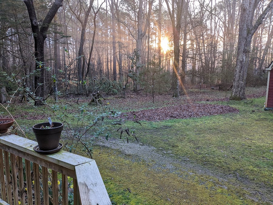 Sunrise from back porch