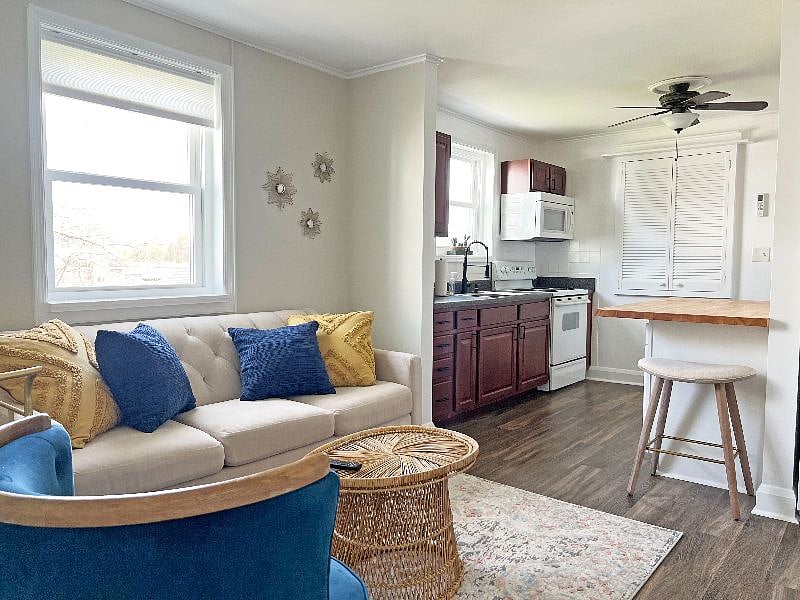 Furnished Finder property 509680_1 photo 9