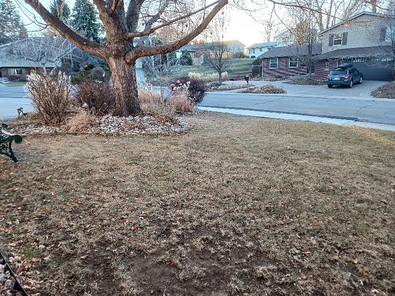Front Yard