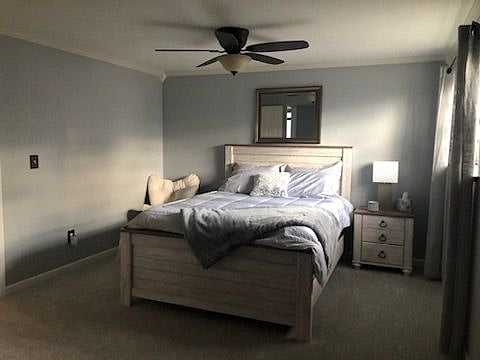 Downstairs Bedroom
