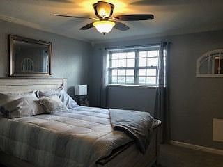 Downstairs Bedroom