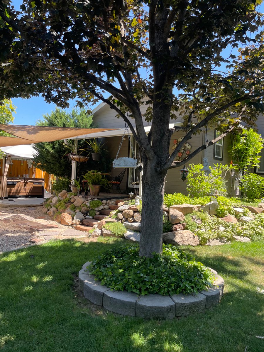 Furnished Finder property 509816_1 photo 11