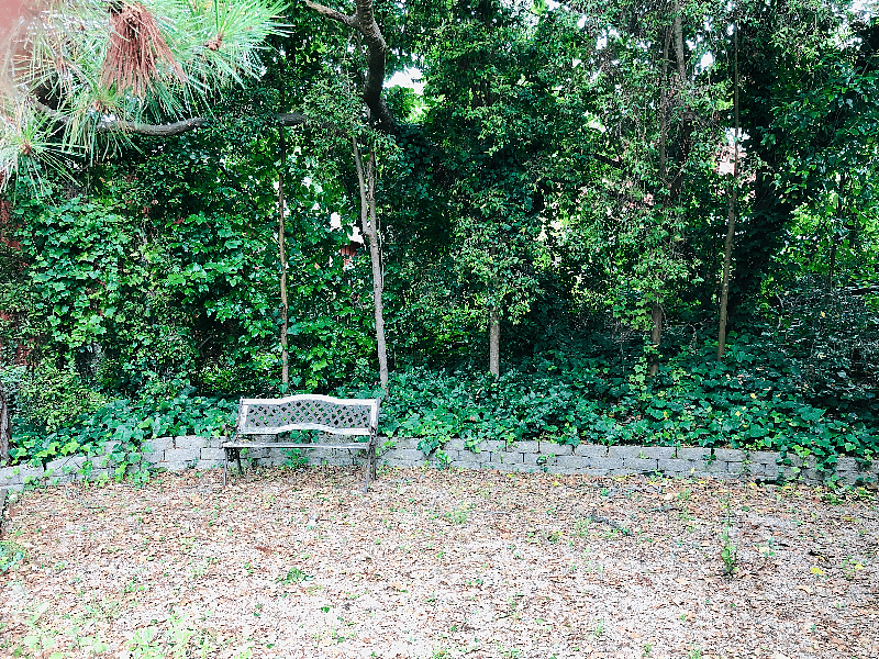Furnished Finder property 509892_1 photo 8