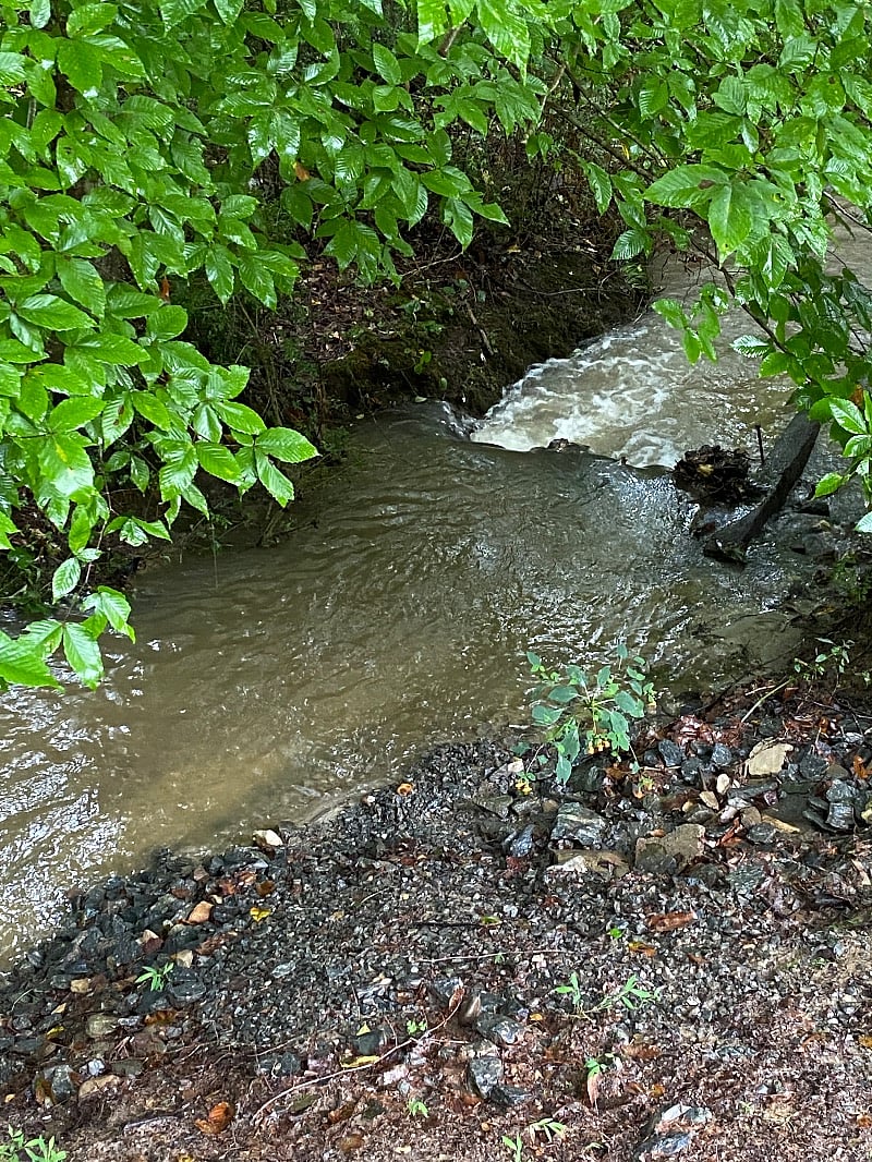 Year round creek at back of property