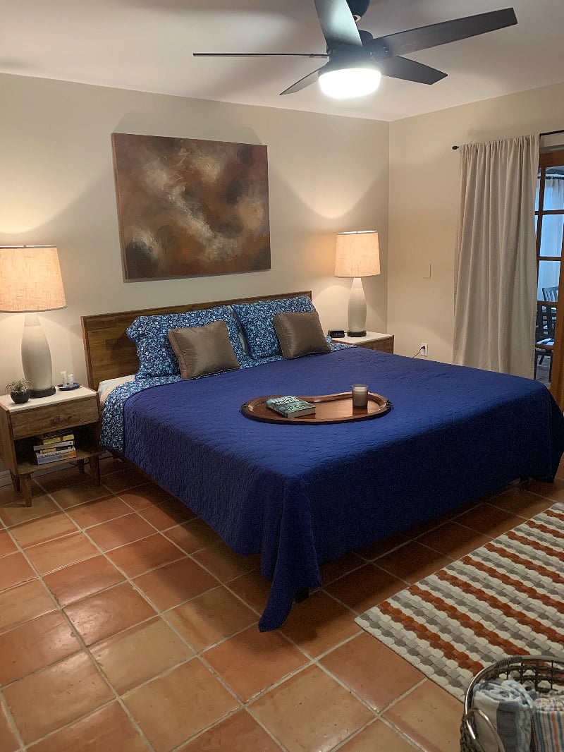 Primary Bedroom with King Bed And Walk-in Closet