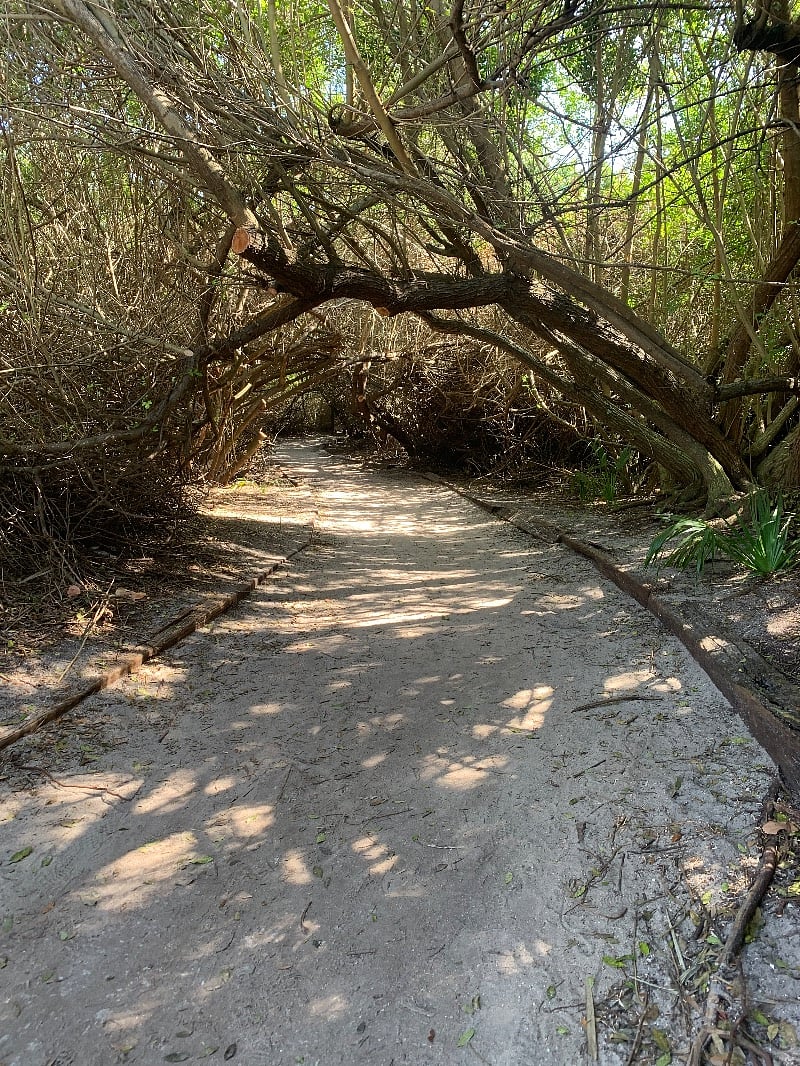 Ocean Woods Private Path to Cape Canaveral Beach