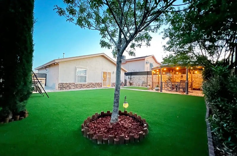 Backyard