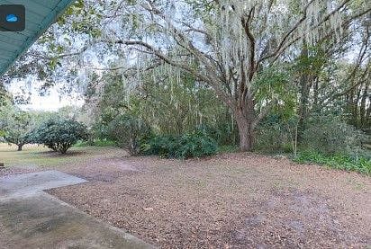 Furnished Finder property 510202_1 photo 19