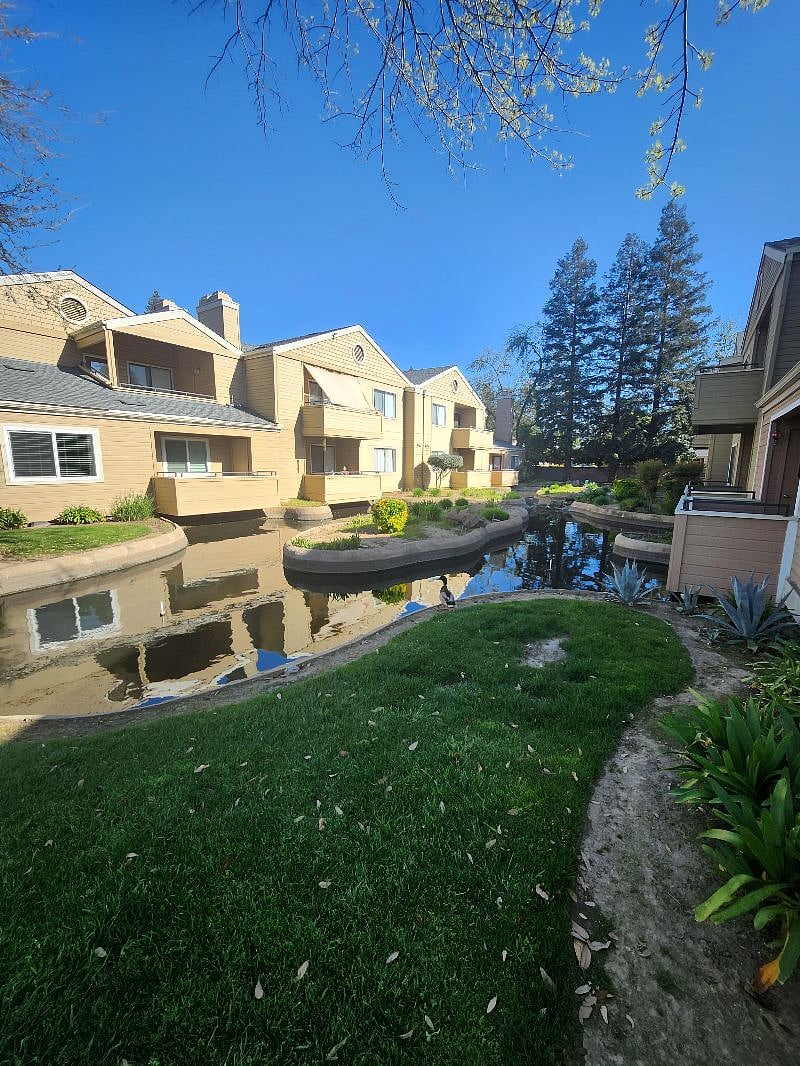 Furnished Finder property 510213_1 photo 12