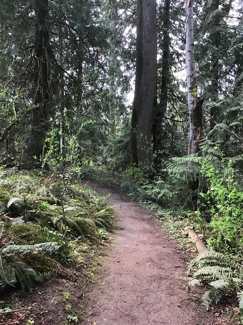 Nearby walking path.