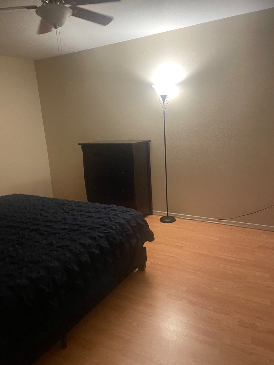 Furnished Finder property 510440_1 photo 15