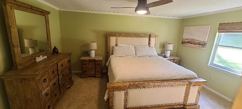 Furnished Finder property 510541_1 photo 6