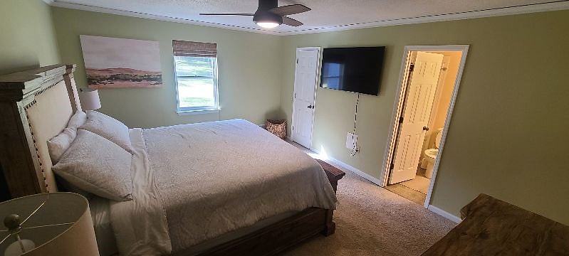 Furnished Finder property 510541_1 photo 7