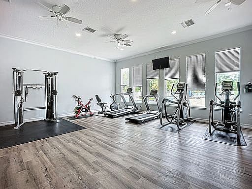 Furnished Finder property 510624_1 photo 23