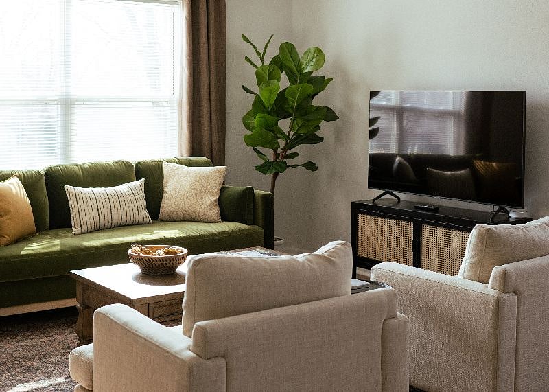Furnished Finder property 510688_1 photo 13