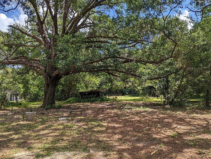 Furnished Finder property 510692_1 photo 15