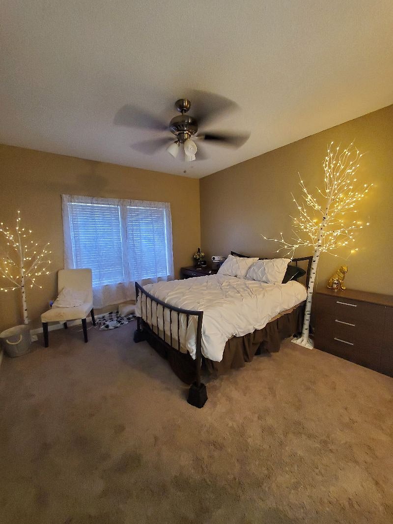 Furnished Finder property 510799_1 photo 3