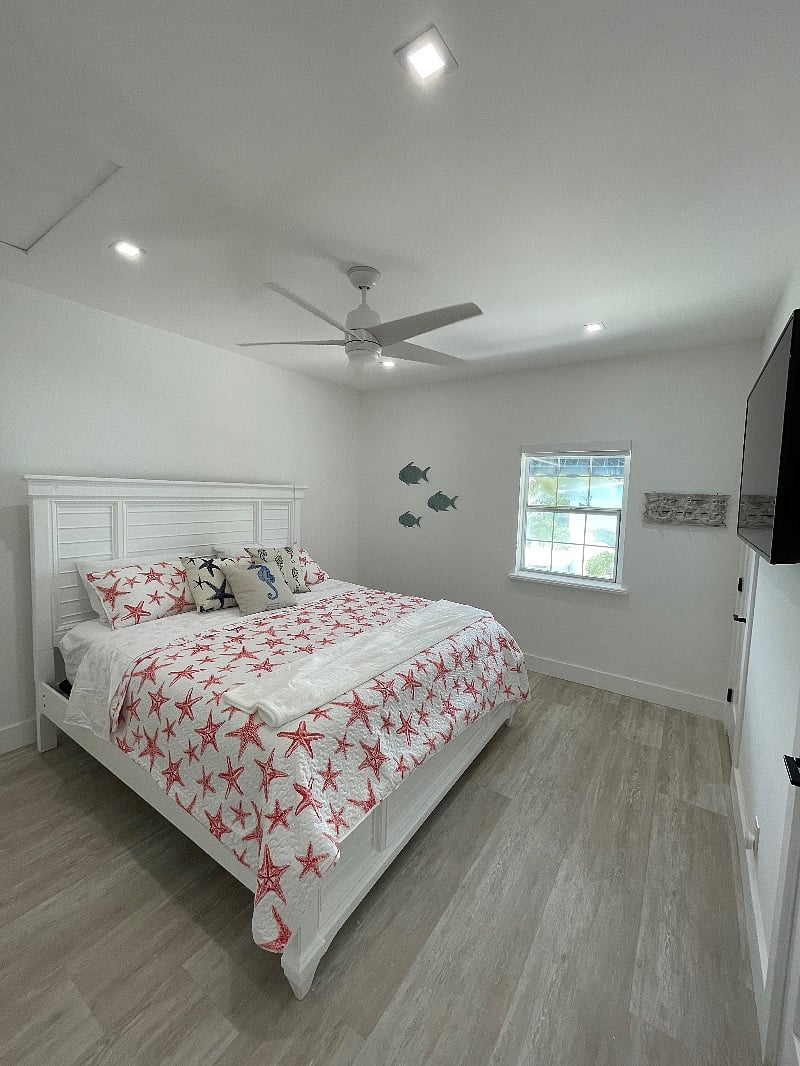 Furnished Finder property 510843_1 photo 16