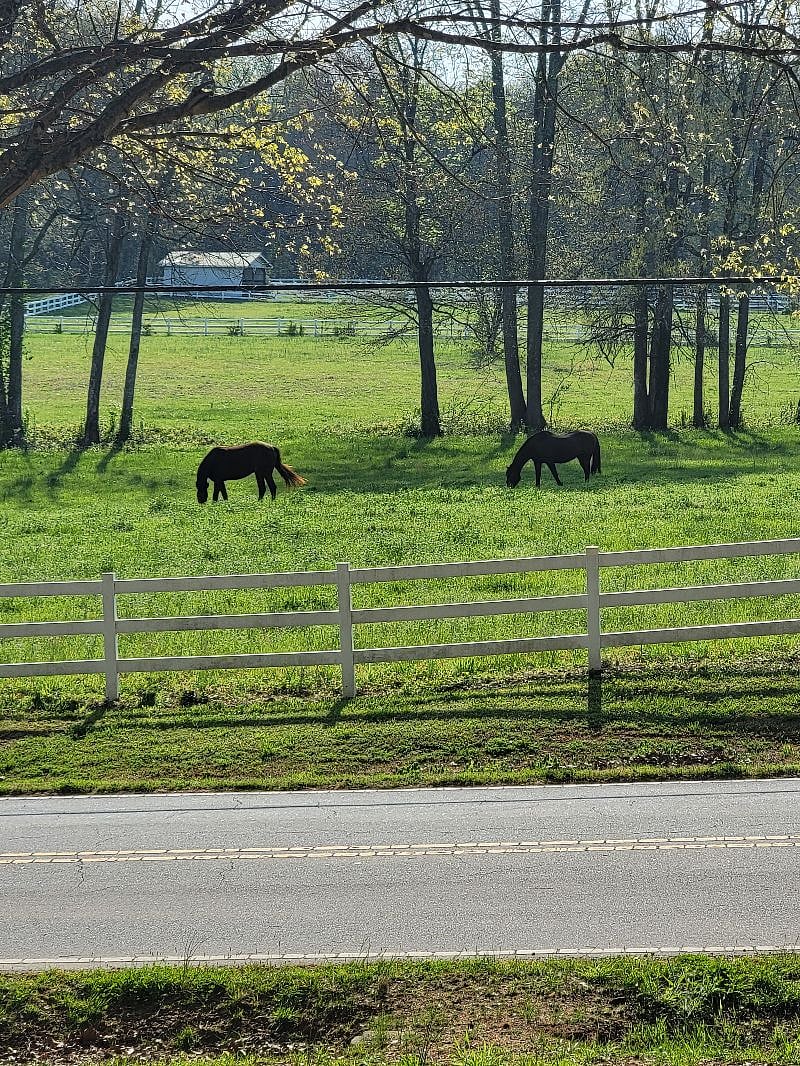 Check out the neighbors!