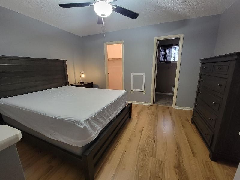 Furnished Finder property 511028_1 photo 9