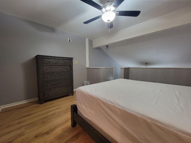 Furnished Finder property 511028_1 photo 11
