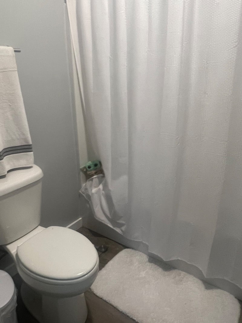 Furnished Finder property 511029_1 photo 32