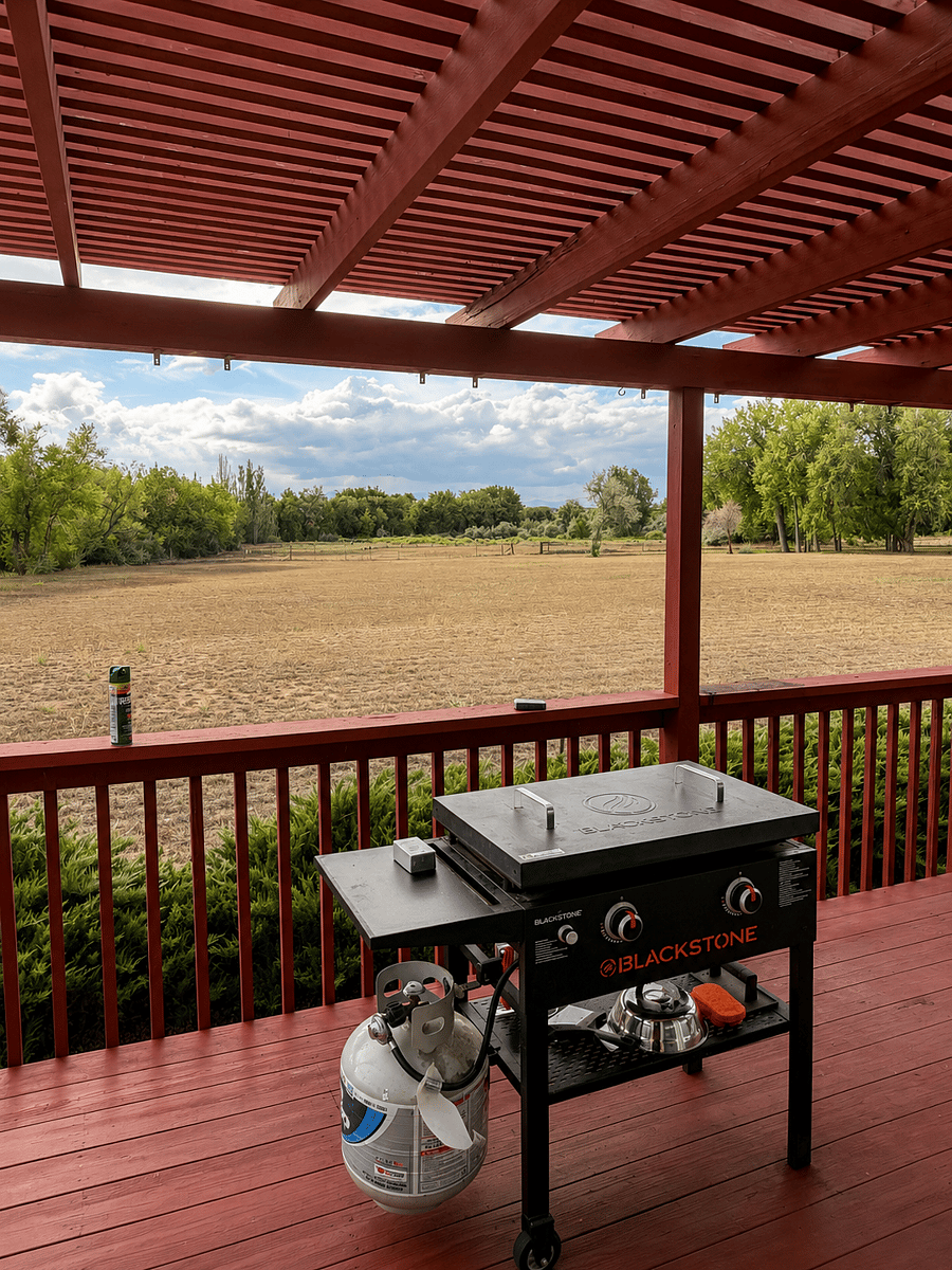 Furnished Finder property 511147_1 photo 10