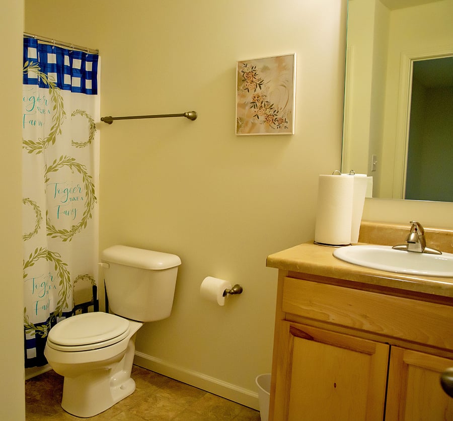 Upper level hall bath