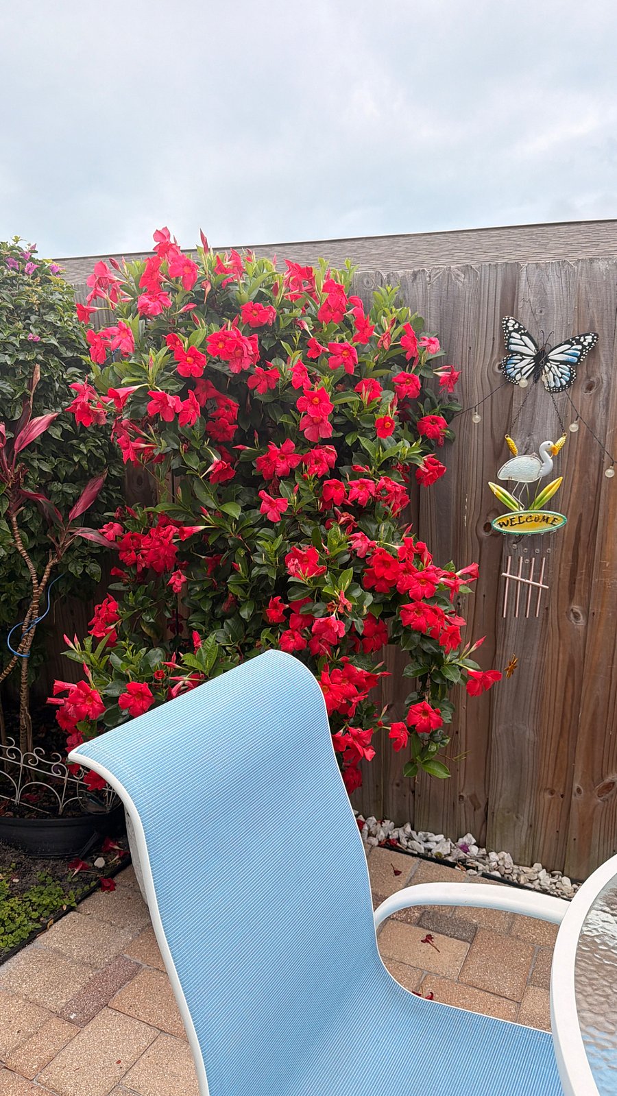 Furnished Finder property 511343_1 photo 10