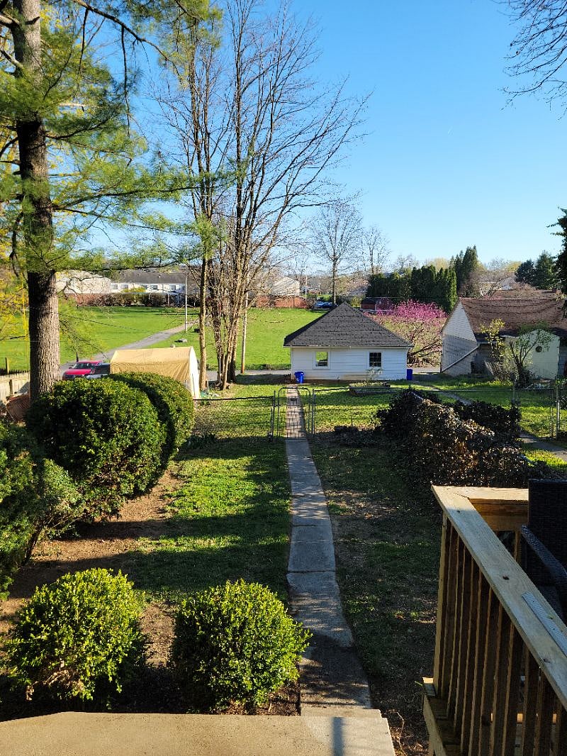 Back yard