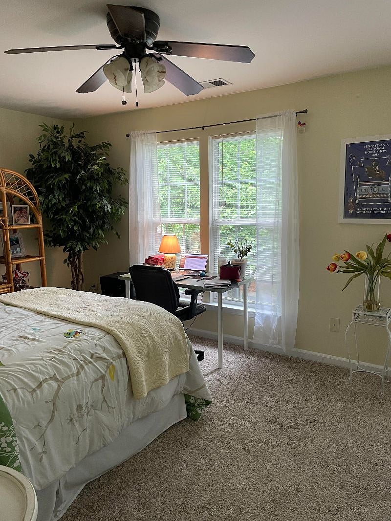 Furnished Finder property 511423_1 photo 15