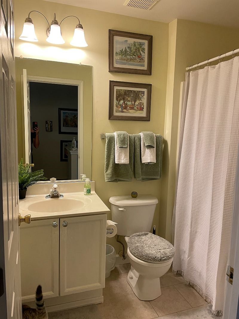 Furnished Finder property 511423_1 photo 17