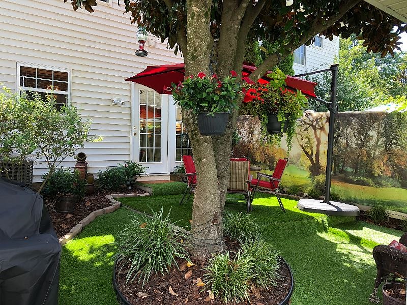 Furnished Finder property 511423_1 photo 23