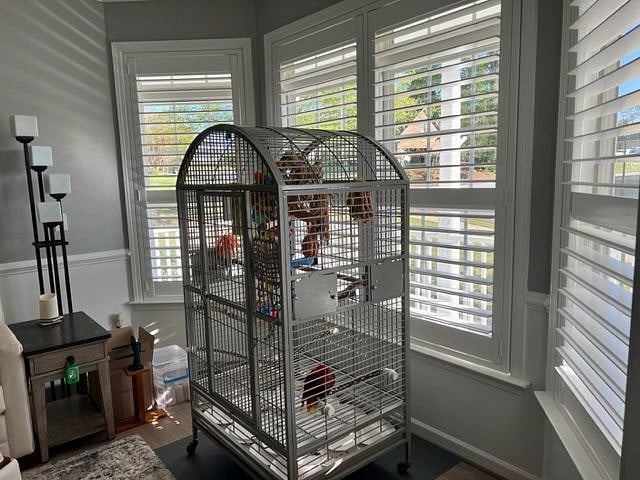 Front sitting room on the main floor which gets lots of wonderful natural light.  

That's my parrot (Ruby) in the cage in front of window.