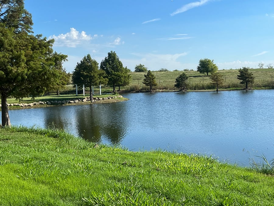 Furnished Finder property 511823_9 photo 1