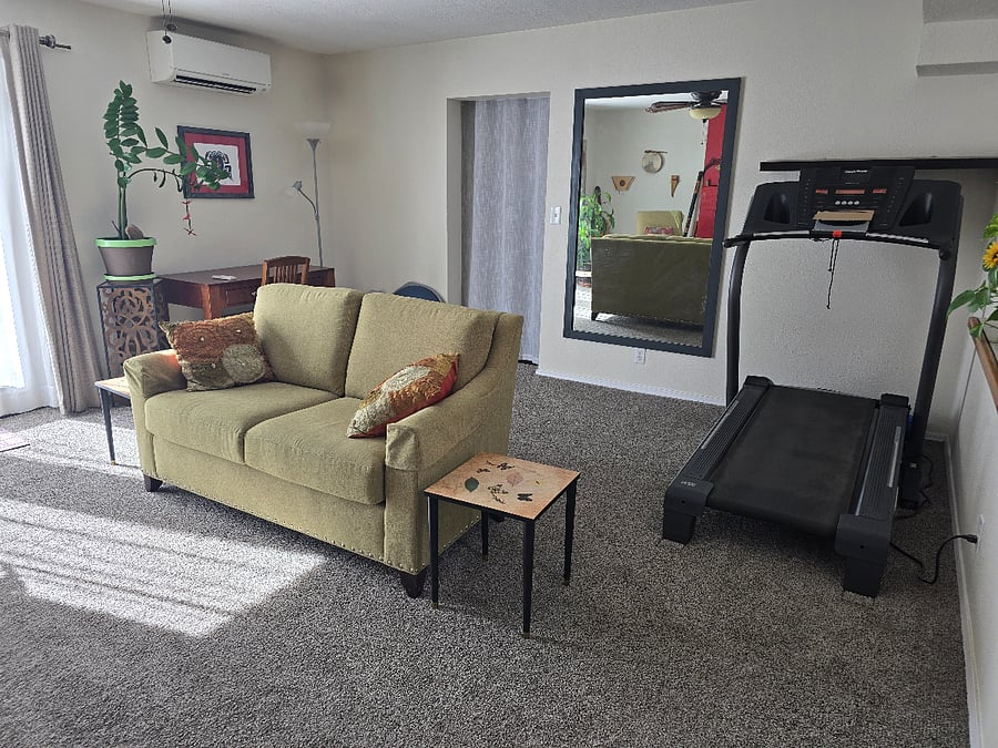 Living room w/ treadmill
