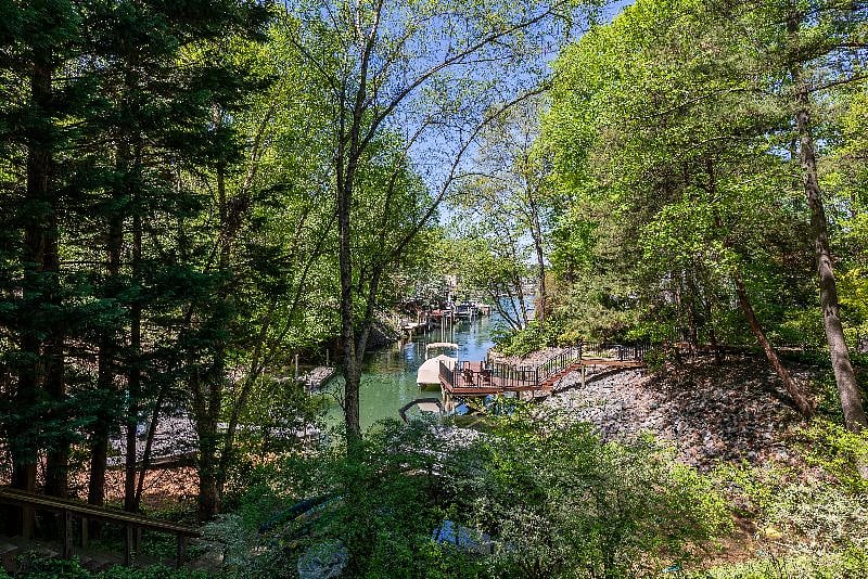 Peaceful cove with tall trees