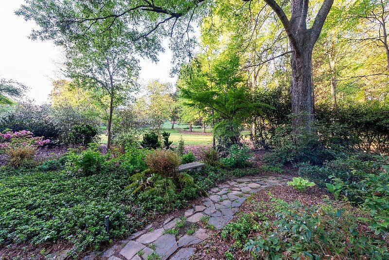 Front yard