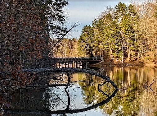 Lake Norman State Park has lots of hiking trails etc.