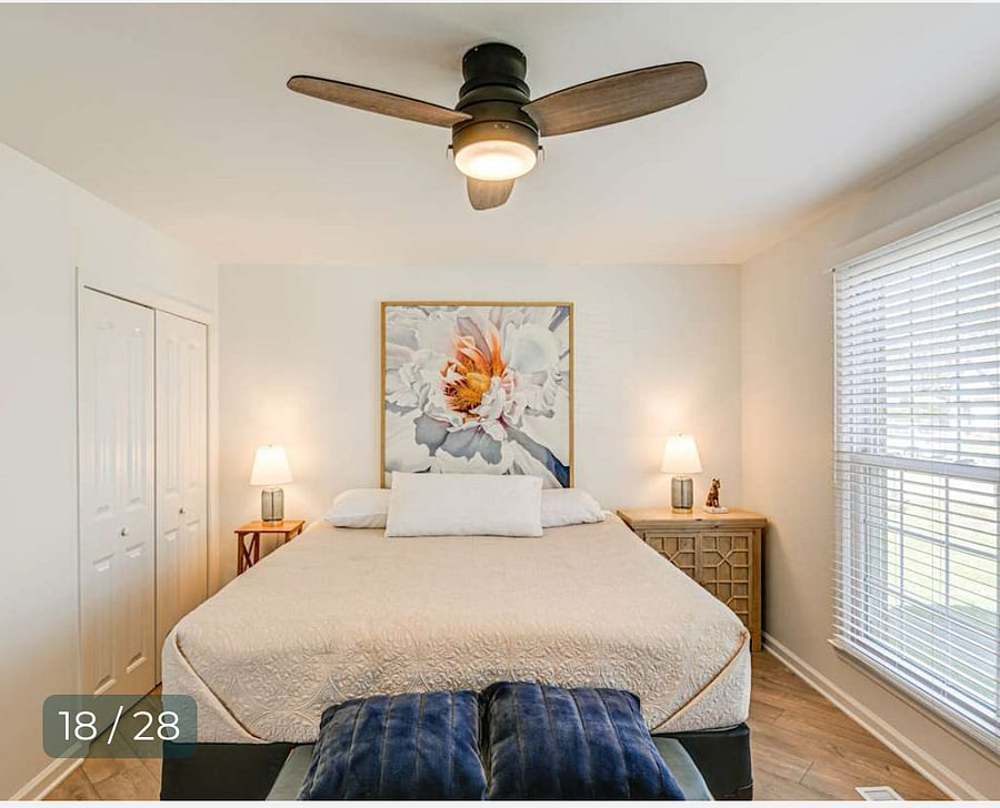 Furnished Finder property 512194_1 photo 12