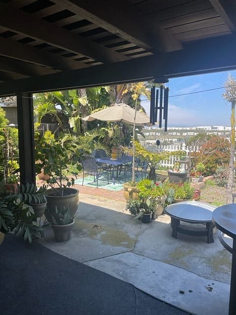 Back patio.