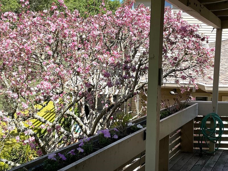 Furnished Finder property 512423_1 photo 4