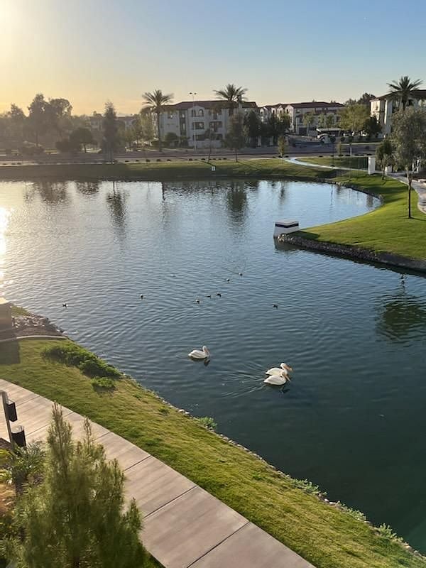 Furnished Finder property 512768_1 photo 27