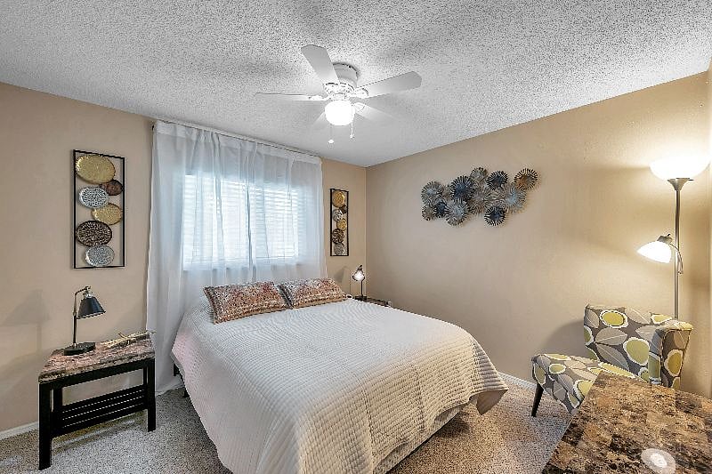 Furnished Finder property 512780_1 photo 46