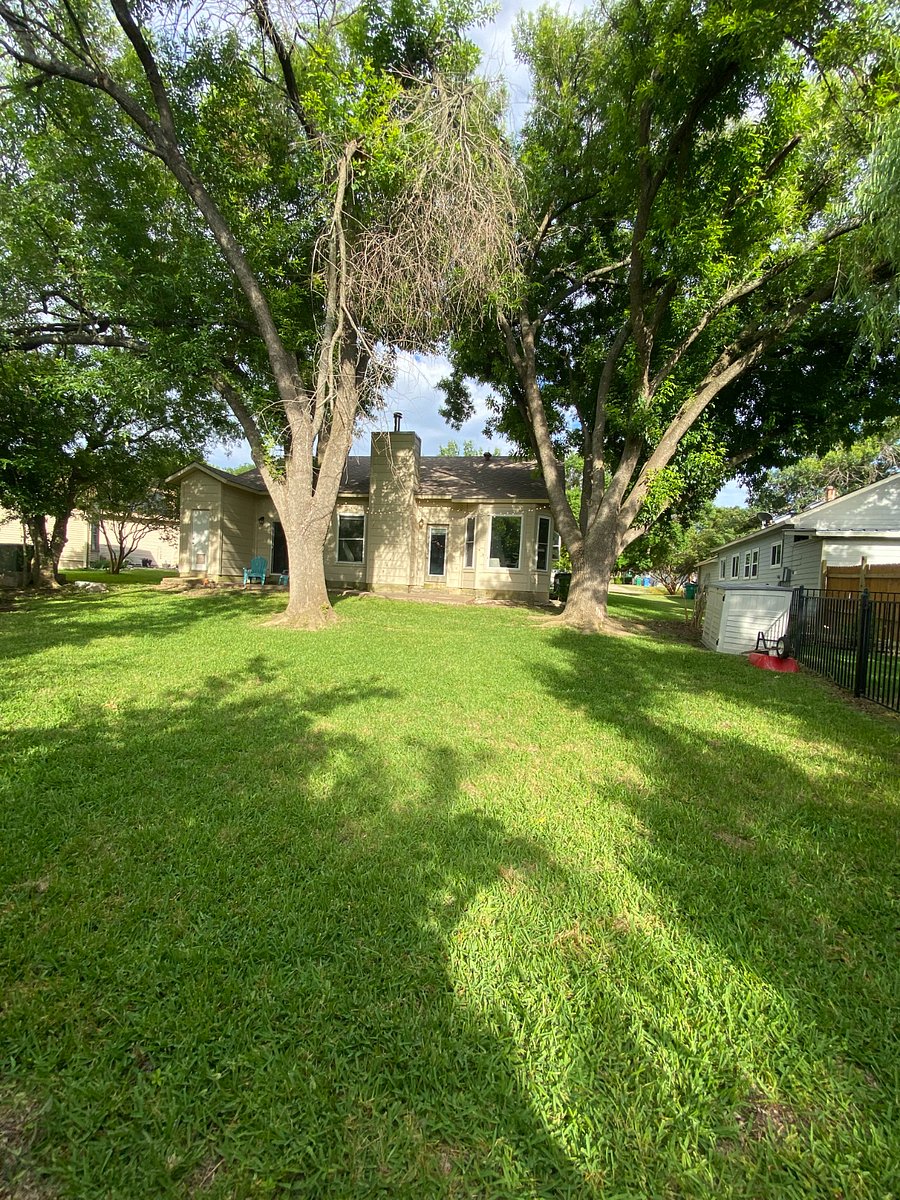 Furnished Finder property 512903_1 photo 18