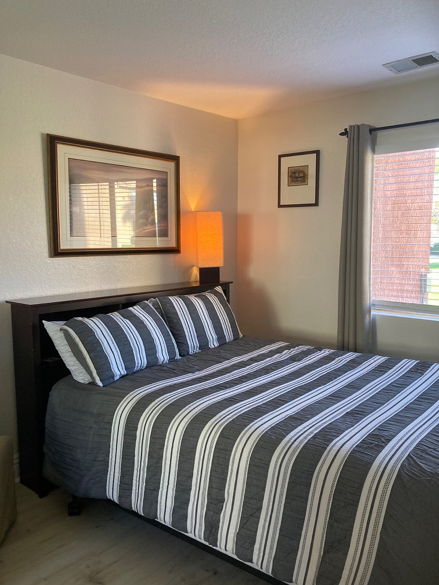 Furnished Finder property 513153_1 photo 19