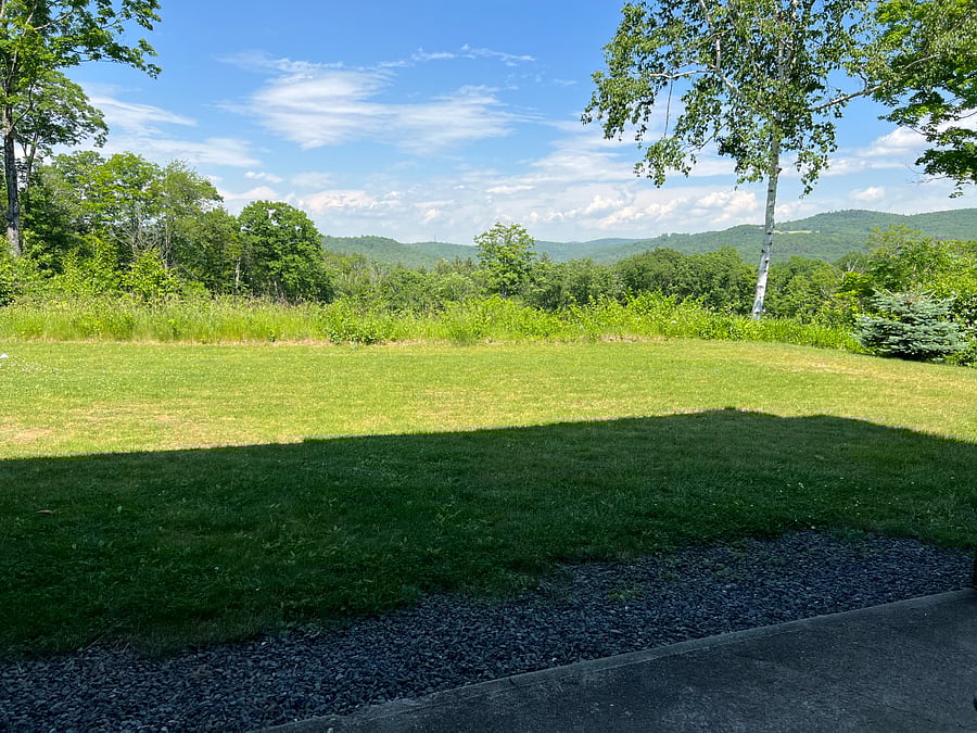 View from kitchen.
