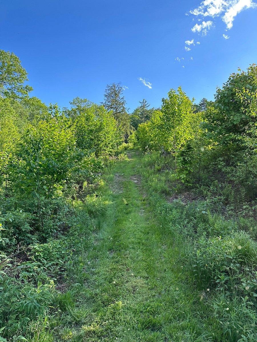 Outdoor trails