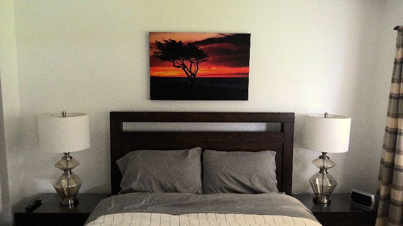 Furnished Finder property 513202_1 photo 5