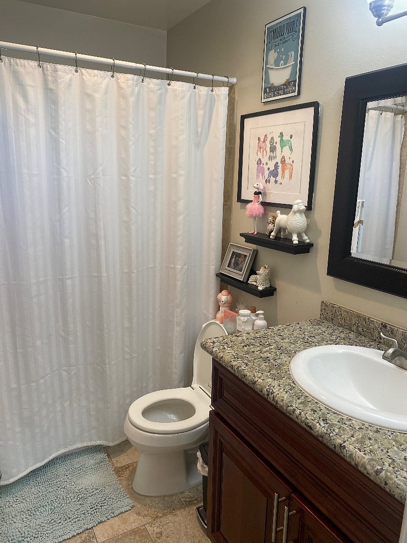 Furnished Finder property 513209_1 photo 11